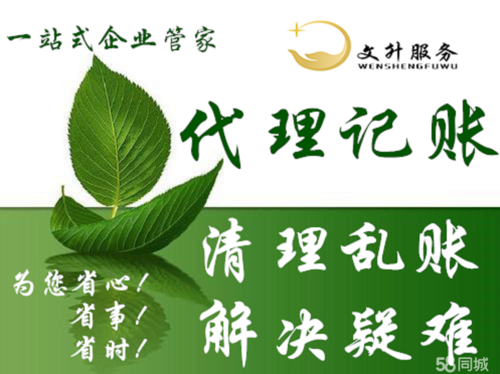 代理記賬/代理記賬/財稅服務(wù)提供申辦一般納稅人,稅控代辦 票種核定等