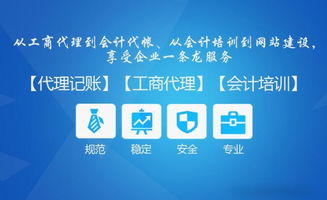洪山武昌代理記賬建賬報(bào)稅會(huì)計(jì)代賬工商稅務(wù)代理圖片 高清圖 細(xì)節(jié)圖 武漢一站通中小微企業(yè)服務(wù)中心