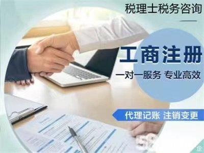免費(fèi)注冊(cè)、代理記賬報(bào)稅財(cái)稅服務(wù)提供申辦一般納稅人、稅控代辦+票種核定等服務(wù)